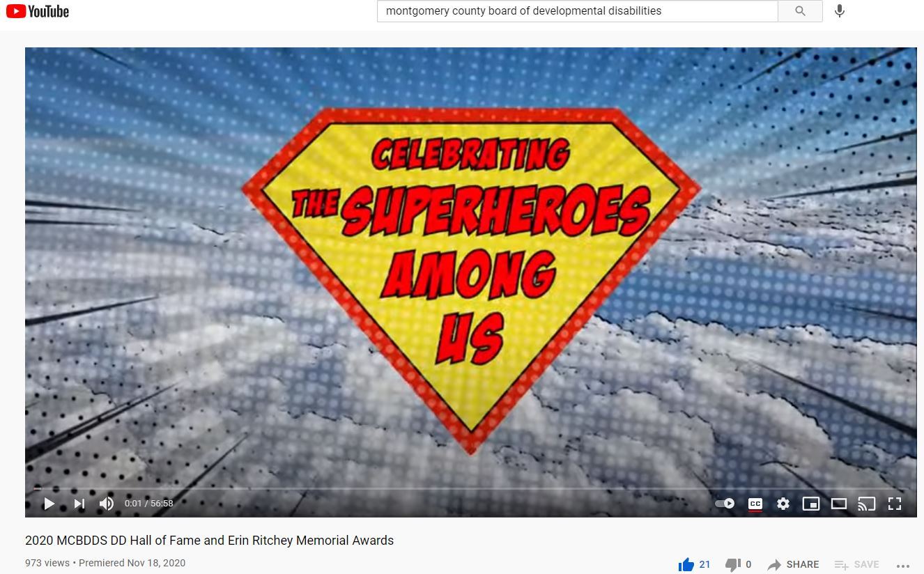 2020 DD Hall of Fame Celebrating Superheroes graphic